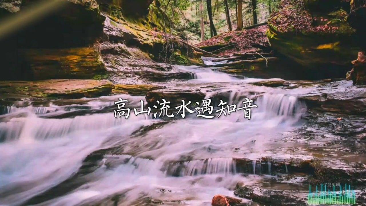 口袋侏罗纪